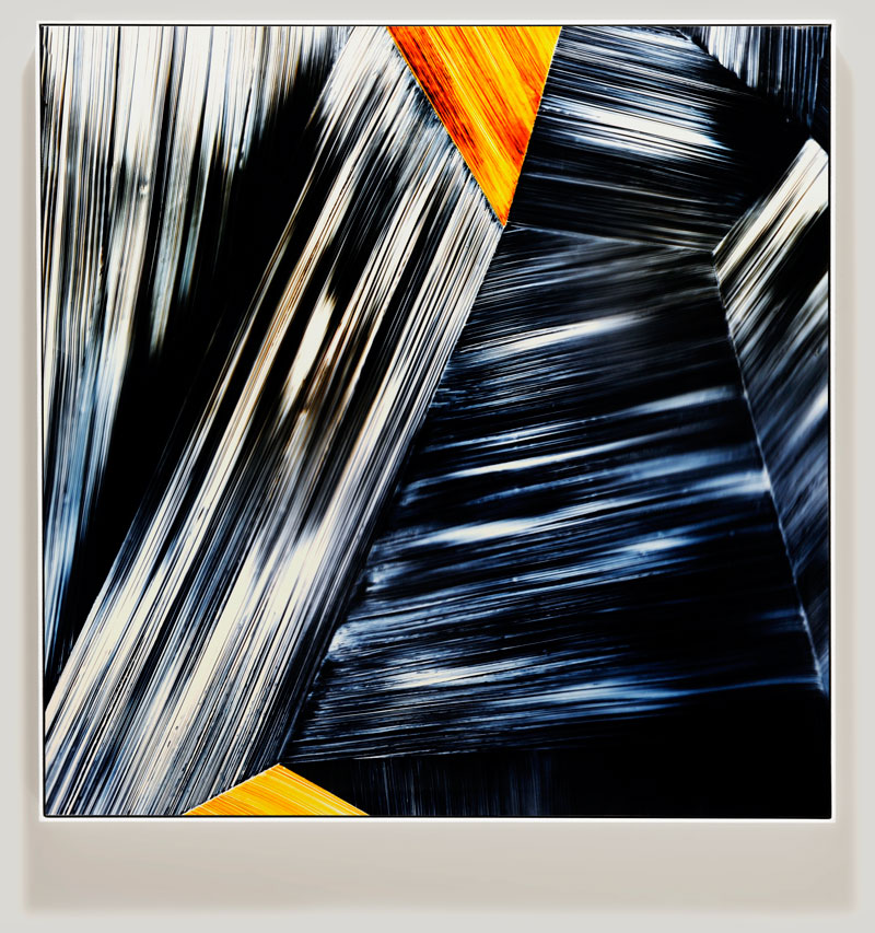 color photogram titled; Accelerated Decay by artist Richard Slechta