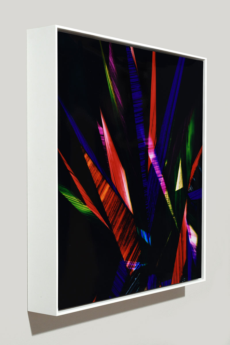 Side view of color photogram titled: Benign Incontinence