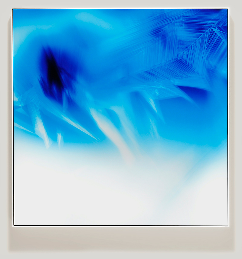 Framed color photogram titled: Displaced Stability from the Inherent Trajectories series