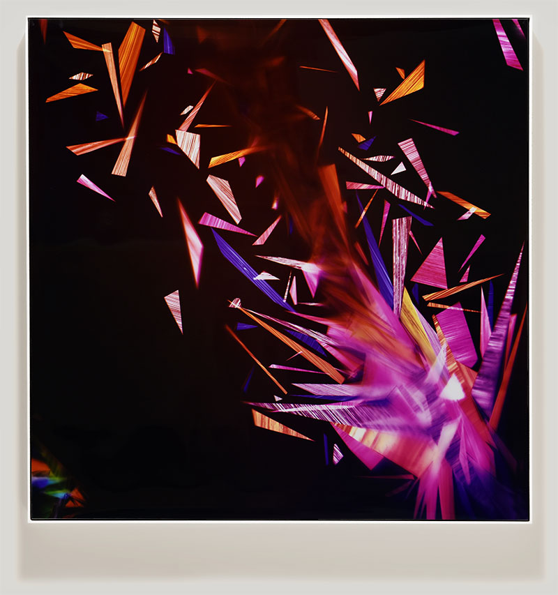 Framed color photogram titled: Primordial Sobriety from the series Precariously Bright