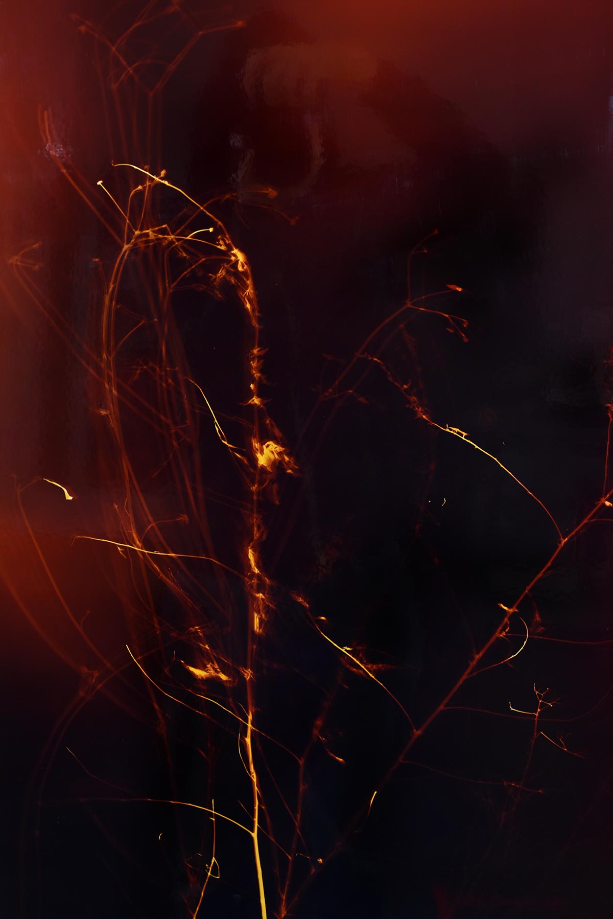 Serenity-Ablaze_Detail-A