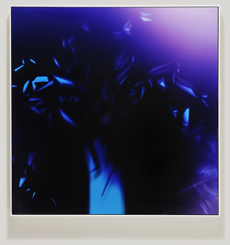 Framed color photogram titled, Splinter-Cell using analog photography
